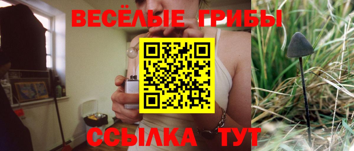 Новосибирск  Галлюциногенные грибы Psilocybe  Вход с VPN 